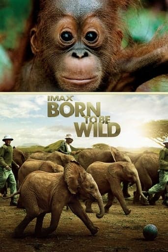 Born To Be Wild (2011) – official movie poster